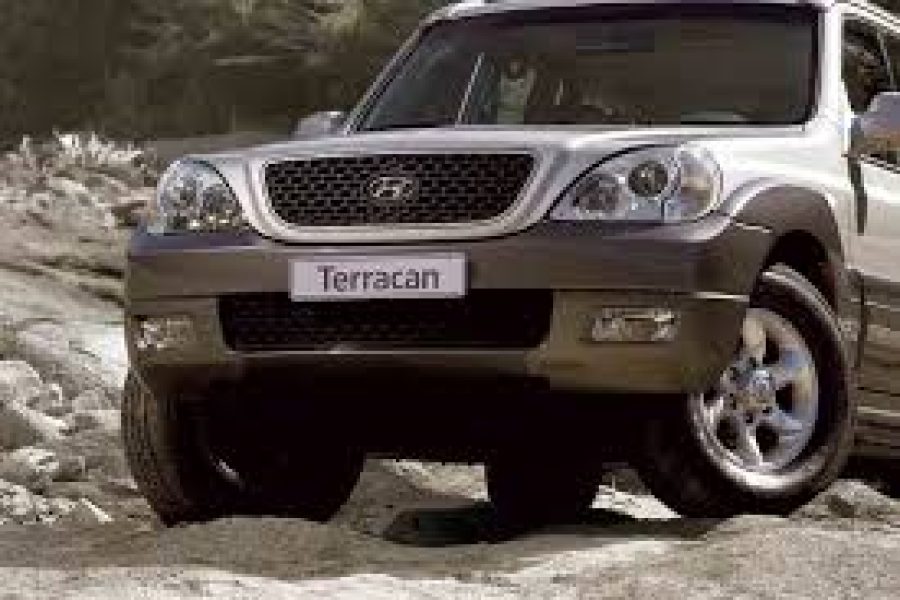 Hyundai terracan ou Similaires