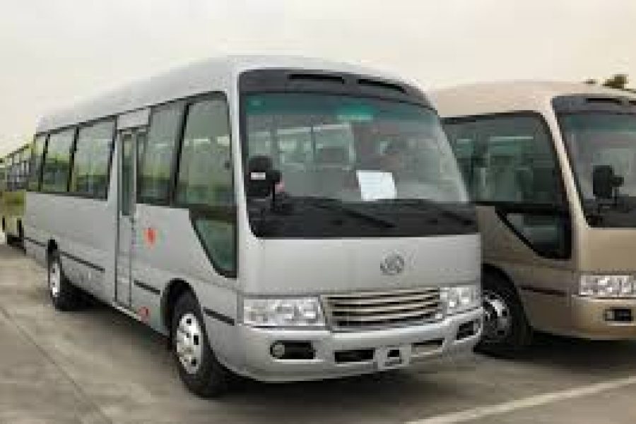 Toyota Coaster Bus ou Similaires