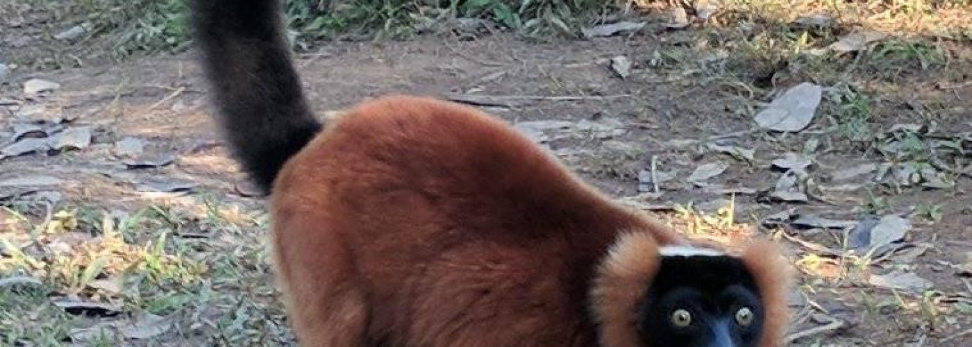 152706967_1851305671701473_1111928222776269595_n