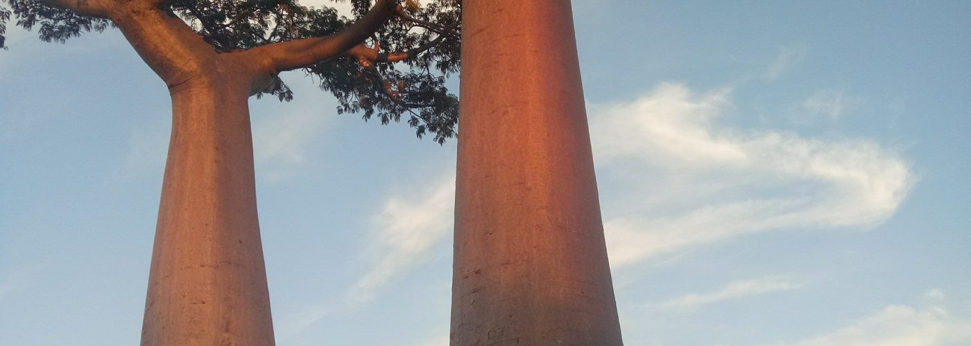 16300426_1259549834127592_4655794779556424403_o