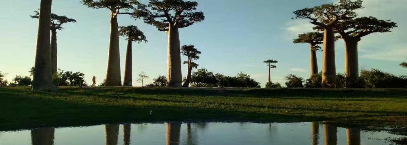 16422631_1261101730639069_7769609375784618461_o