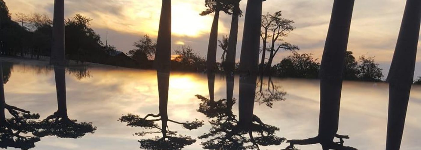 330102452_643341517465778_3441554462023944914_n