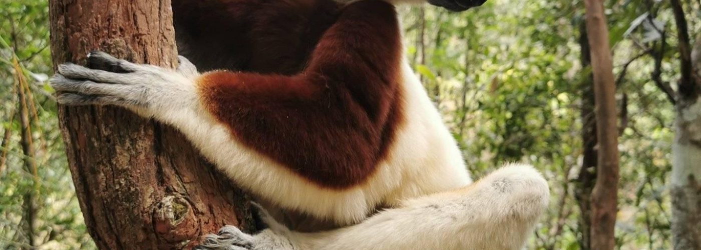 347648225_224075033731182_7154762079024889751_n