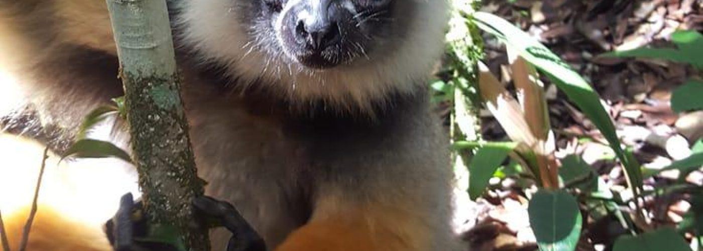 363362795_2994625037336431_4442002474645084318_n