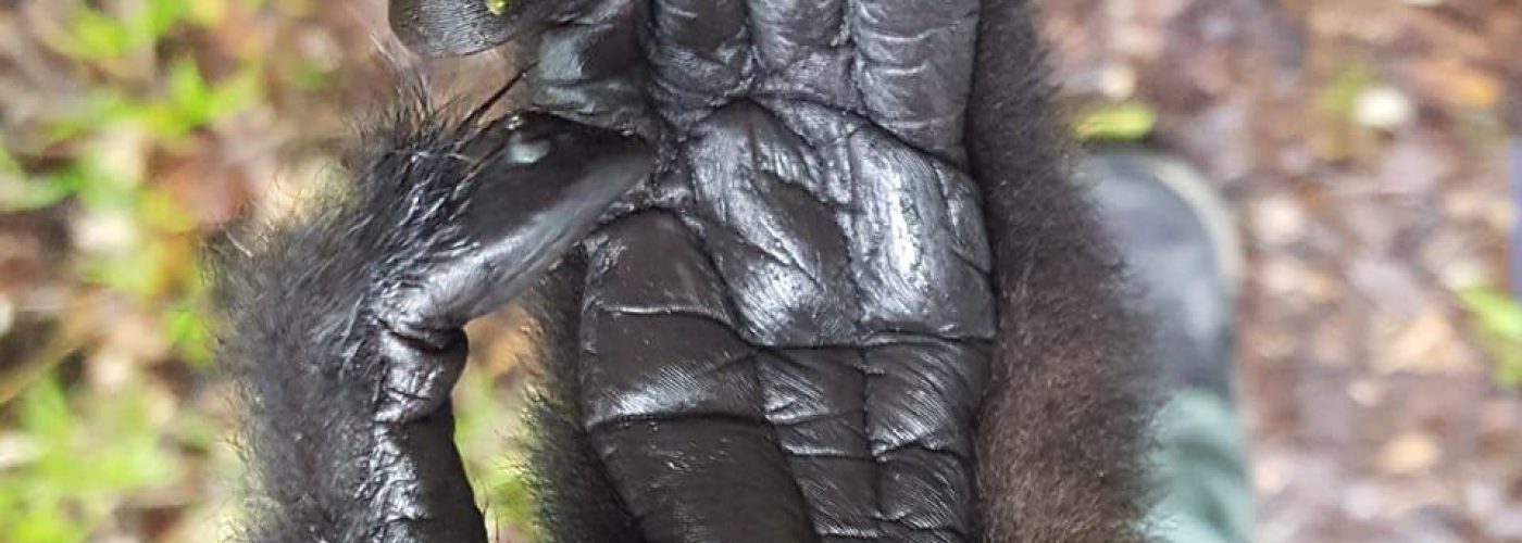 363377970_2991592144306387_5968873337353974625_n