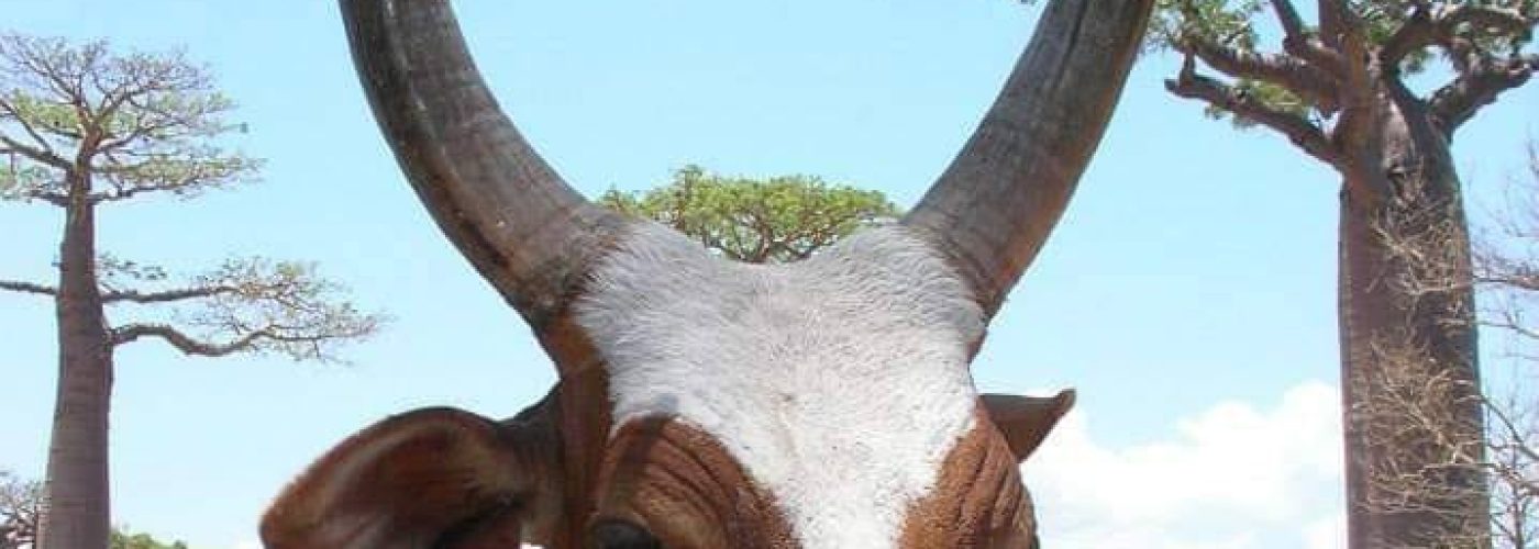 382466856_3031859536946314_3396068774721709252_n