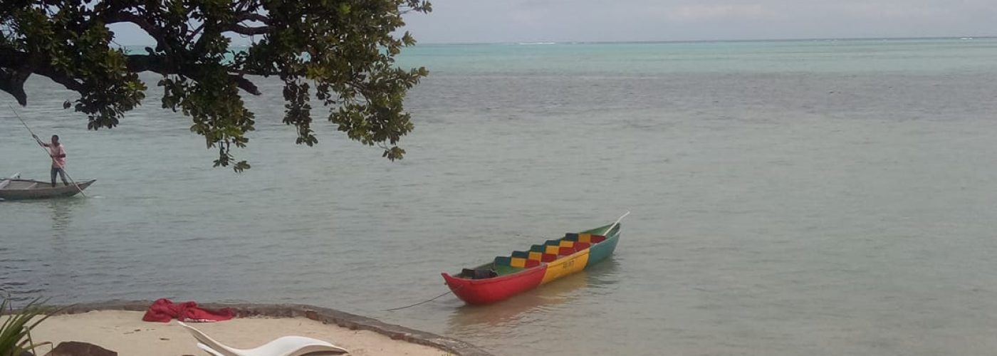 38411888_1849628341786402_7468982994288508928_n