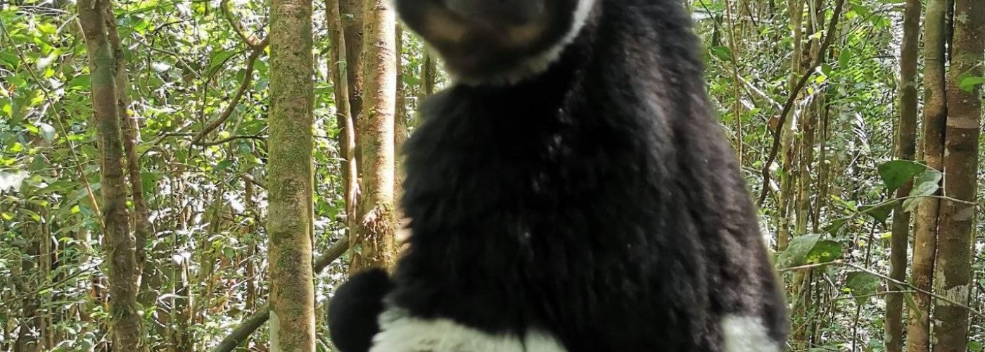 391728114_302244235854952_4892525009486445178_n