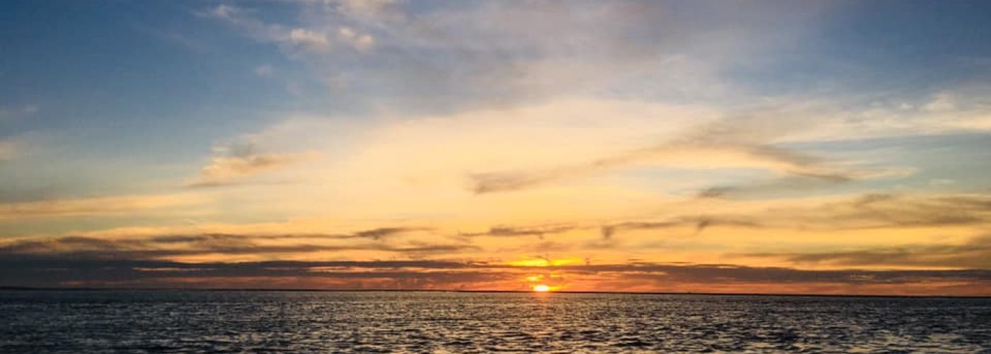 53110842_2158100714272495_8108385281134034944_n